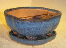 Blue Ceramic Bonsai Pot- Lotus Shape  Professional Series with Attached Humidity/Drip Tray  6.37" x 4.75" x 2.625