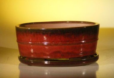 Parisian Red Ceramic Bonsai Pot - Oval  Professional Series with Attached Humidity/Drip Tray   10.75" x 8.5" x 4.125"