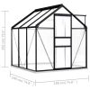 Greenhouse with Base Frame Anthracite Aluminum 38.9 ftÂ²