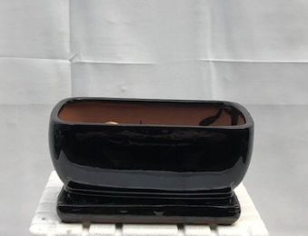 Black Ceramic Bonsai Pot- Rectangle  Professional Series With Attached Humidity/Drip Tray  8.25" x 6.0" x 4.0"