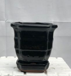 Black Ceramic Bonsai Pot - Square  With Attached Humidity / Drip Tray 5.5" x 5.5" x 5.5"